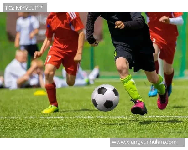 西班牙与荷兰对决现场球迷热情高涨共同见证足球盛宴