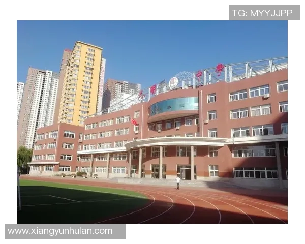 王少杰的奋斗历程与人生哲学探索：从平凡到卓越的成长之路