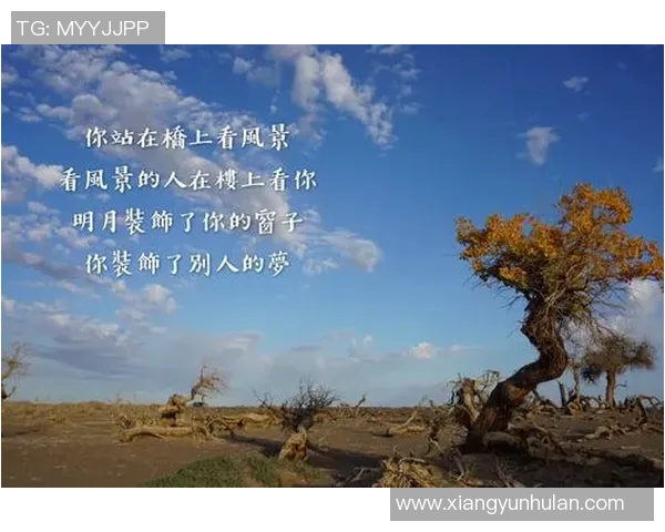 马力克的传奇故事与不屈精神探索人生的无限可能与奋斗的意义 马力克的传奇故事与不屈精神探索人生的无限可能与奋斗的意义