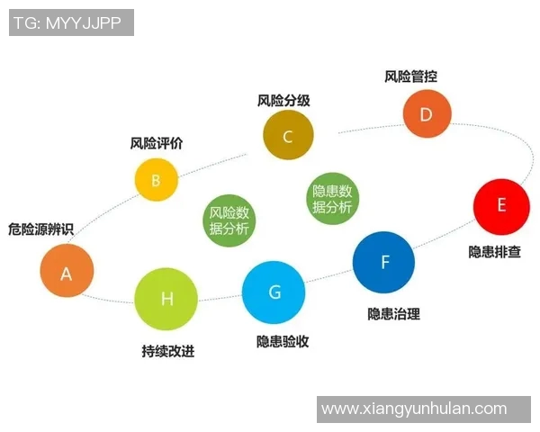 深入解析成都篮球队战术表现与数据分析的关联性与影响因素