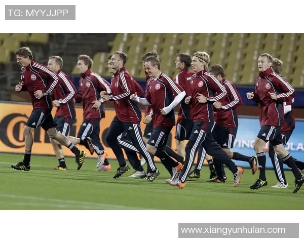 爱尔兰与丹麦足球队激战正酣谁能在这场对决中笑到最后